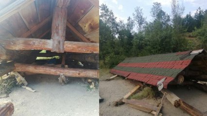 Piknik yaptıkları kamelyanın altında kaldılar