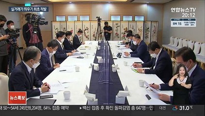 덜미 잡힌 '실거래가 띄우기'…중개사 등 적발