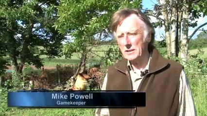 The Shooting Show Fox shooting in Devon with Mike Powell