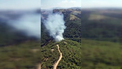 İZMİR - Orman yangınına karadan ve havadan müdahale ediliyor