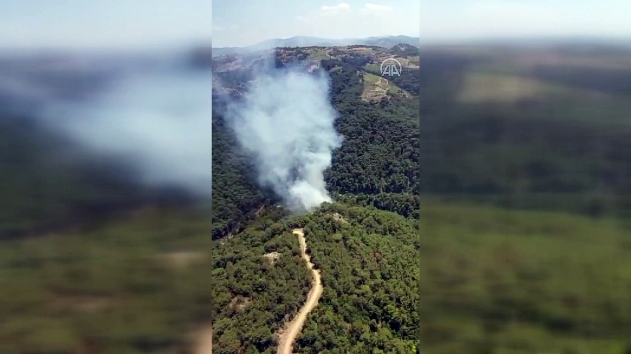 İZMİR - Orman yangınına karadan ve havadan müdahale ediliyor