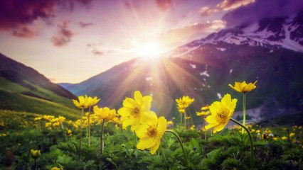 Pandora • The Most Beautiful Moments With Piano, For Relaxation And Stress Relief • Official Soundtrack Music Video by Hume