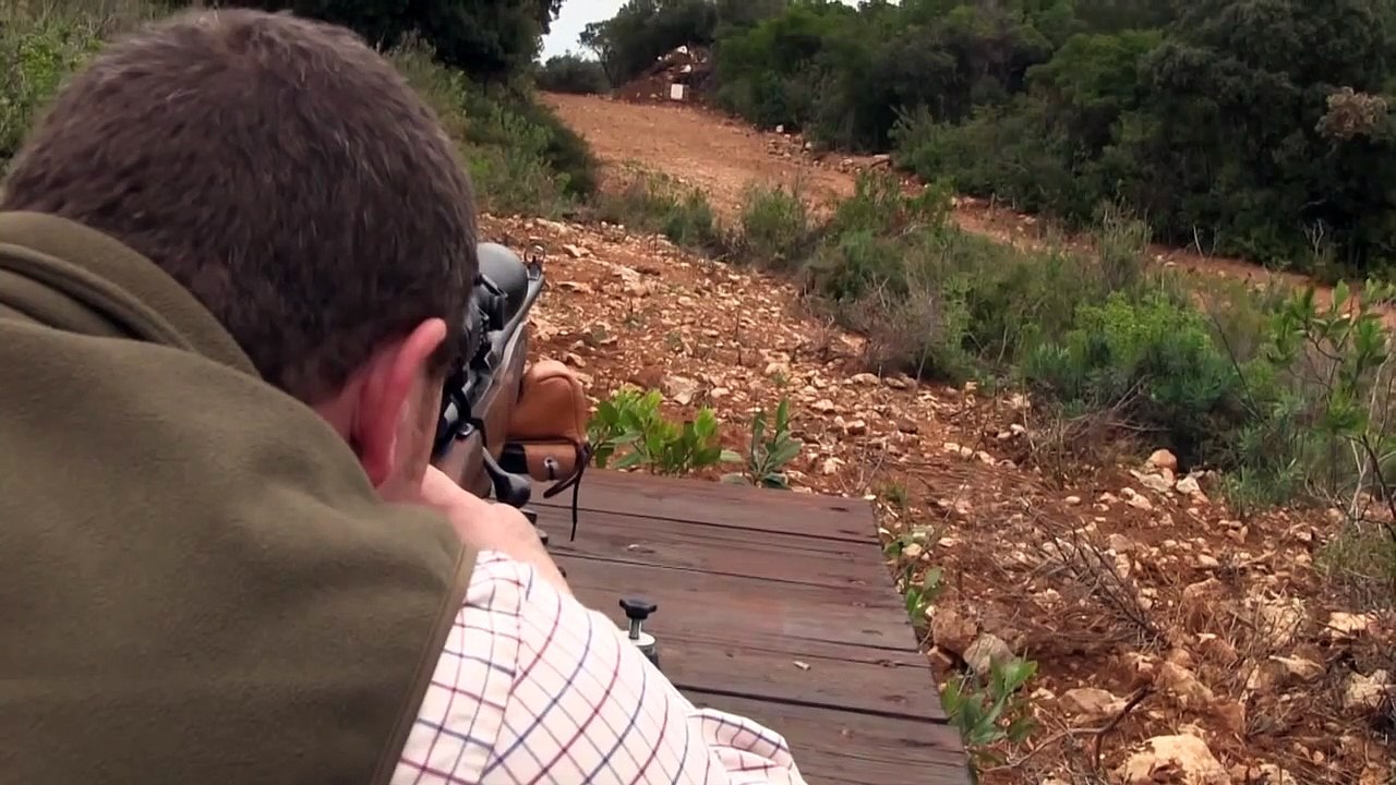 French wild boar from a high seat