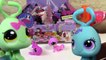 LPS Blind Bag HAUL Littlest Pet Shop Party Stylin Pets BOX case toy review opening