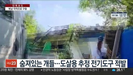 [단독] 전기봉 도살 정황…복날 개 수십마리 극적 구출