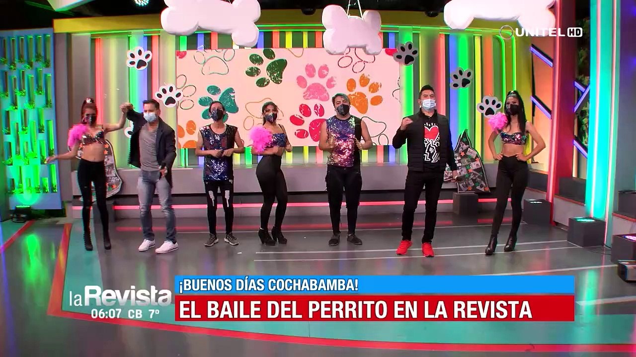 Celebramos el Día Mundial del Perro incentivando a la adopción de canes, parte 1