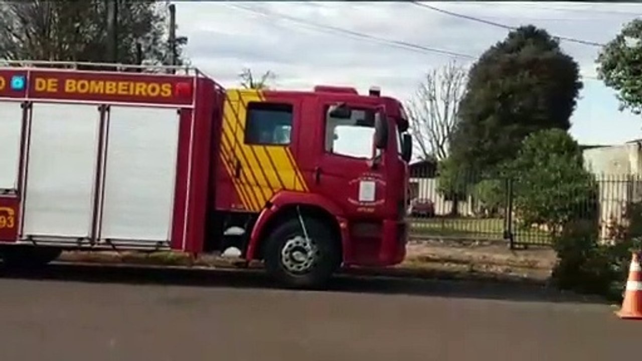 Árvore derrubada por caminhão mobiliza equipes do Corpo de Bombeiros até a Rua Paraná, no Bairro São Cristóvão