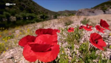 As Novas Viagens Philosophicas_Ep05