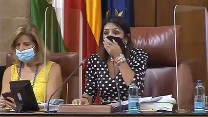 Una rata se cuela en el Parlamento de Andalucía durante la votación de Susana Díaz como Senadora Autonómica del PSOE.
