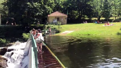 Plonger au cœur des colonies de vacances à thème