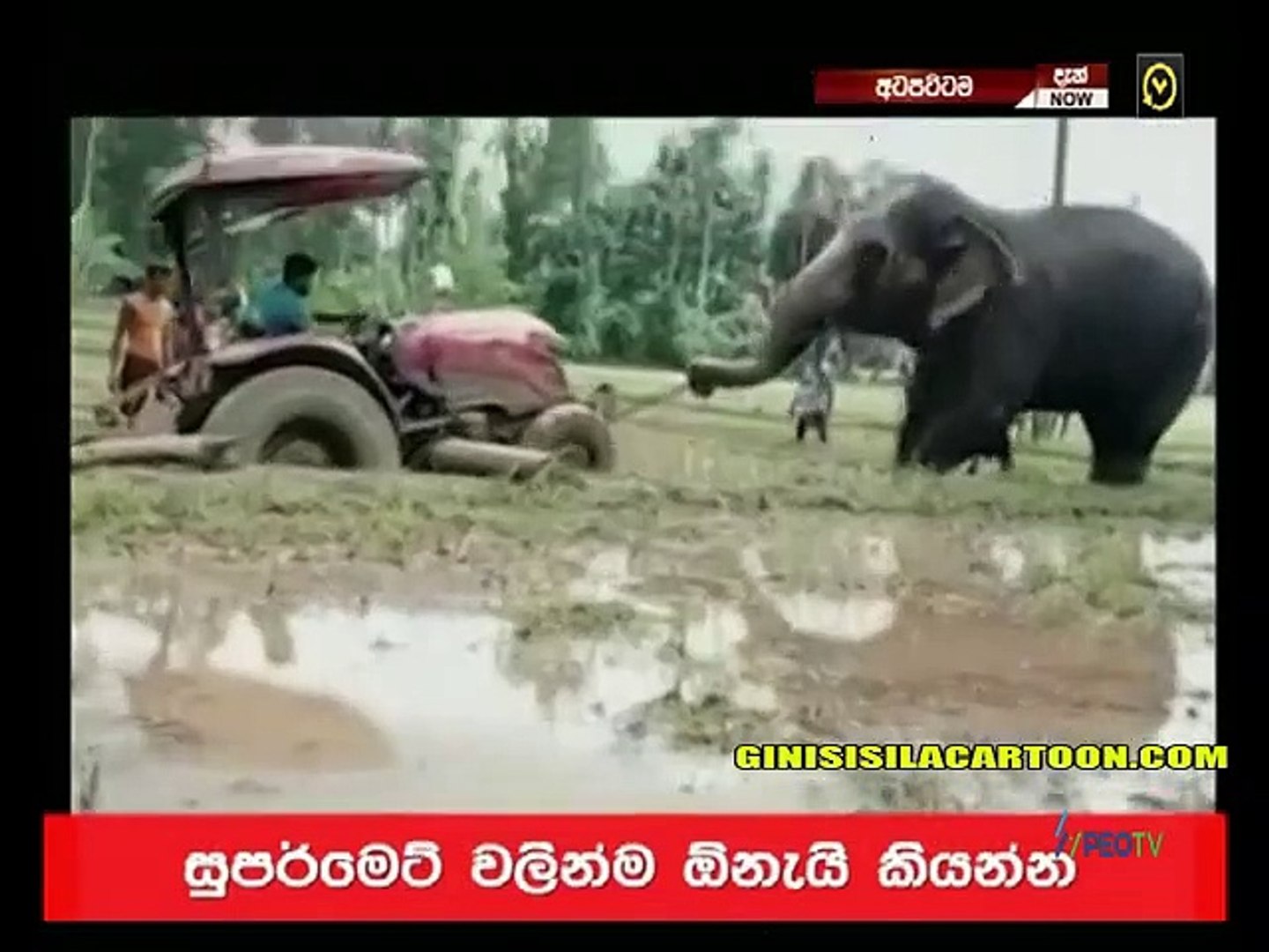 Atapattama 2021.07.21