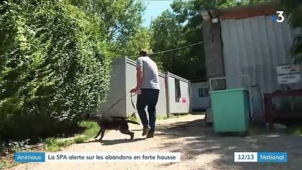 Animaux : la SPA alerte sur la recrudescence d'abandons