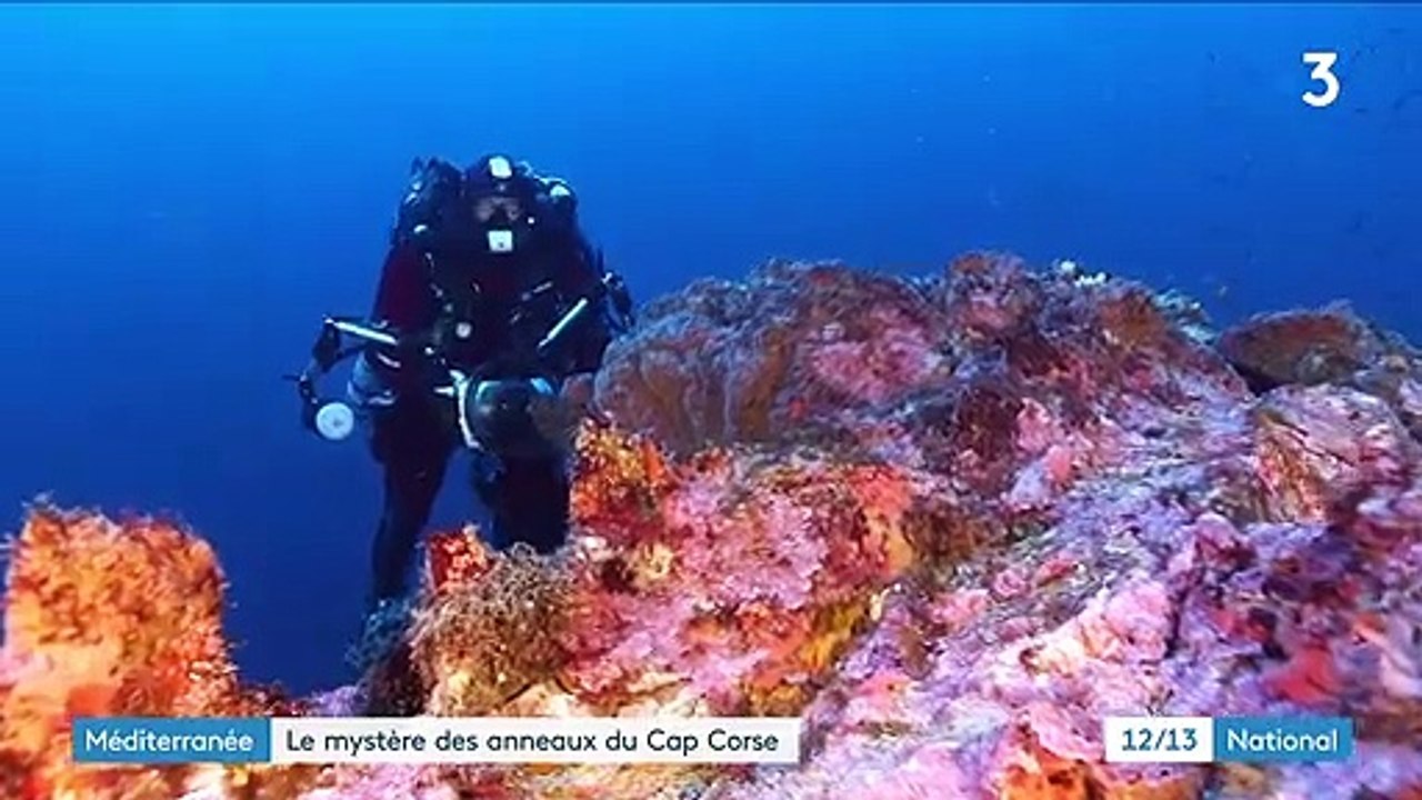 Cap Corse : une équipe de plongeurs analyse des mystérieux anneaux
