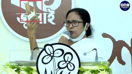 বিজেপি পার্টিতে গদ্দারদের জন্ম হয় : মমতা ব্যানার্জি | Oneindiabengali