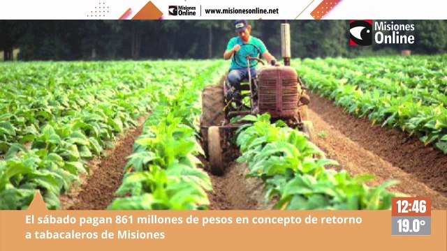 Misiones Online Televisión (808)