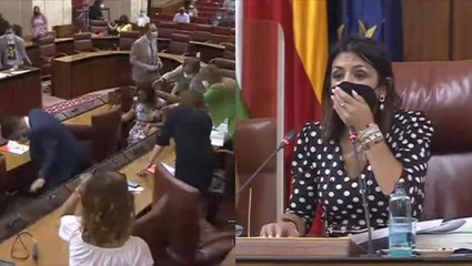 Una rata en el Parlamento andaluz