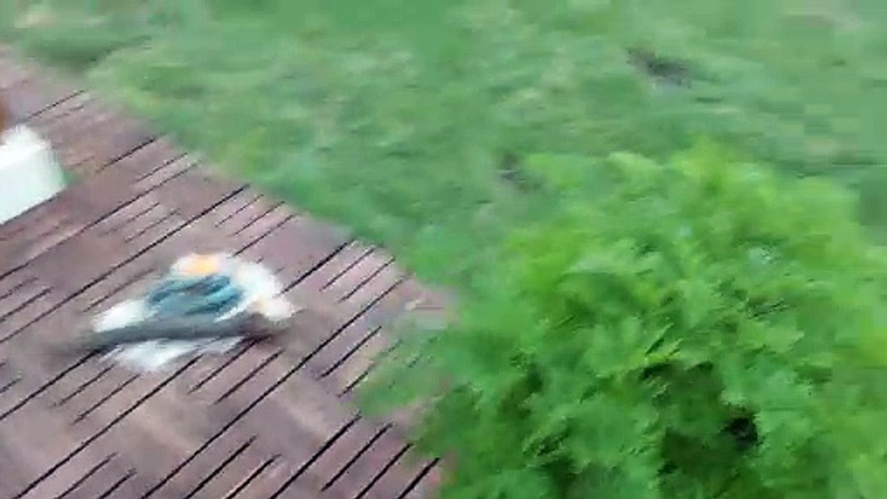 Samsung Galaxy Tab S7 FE 5G review 1080p de día