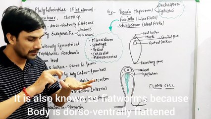 Animal Kingdom Part-8 Phylum-Platyhelminthes