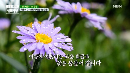 사계절이 모두 특별하다! 여름에 다시 만난 아름다운 정원