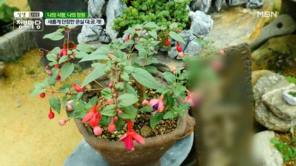 여름 향기 담긴 주인공의 힐링 공간