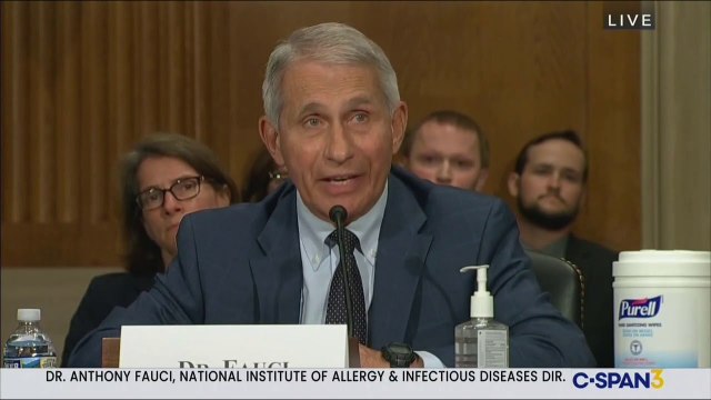 Dr Fauci Torches Rand Paul ‘You Do Not Know What You’re Talking About!’