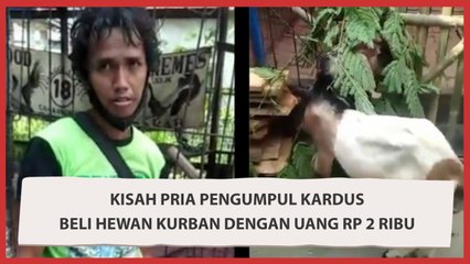 Salut! Kisah Pria Pengumpul Kardus Beli Hewan Kurban dengan Uang Pecahan Rp 2 ribuan