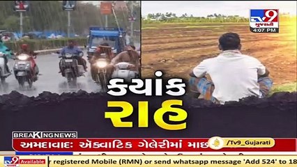 Incessant rainfall in Valsad and Dang, water level increases in rivers _ TV9News