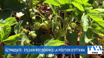 TVA NOUVELLES CHAU 12H 21 JUILLET 2021