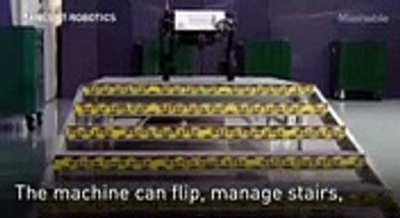 Tiny robot acrobat uses tail to do backflips