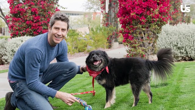 Bachelor Nation's Bibiana Julian Said she Slept on Grocery-Store Joe in 'Bachelor Regrets'