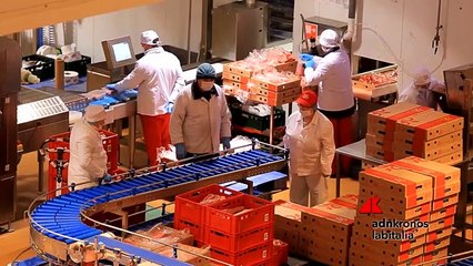 Ismea, agroalimentare reagisce a crisi