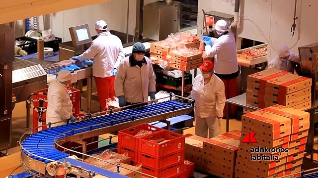 Ismea, agroalimentare reagisce a crisi