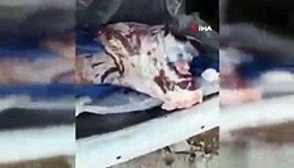 Kurban etleri bozulmasın diye öyle bir şey yaptı ki...