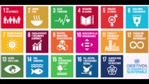 Objetivos del Desarrollo Sustentable
