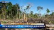 Cambio climático: ciertas regiones de la selva amazónica emiten más carbono del que absorben