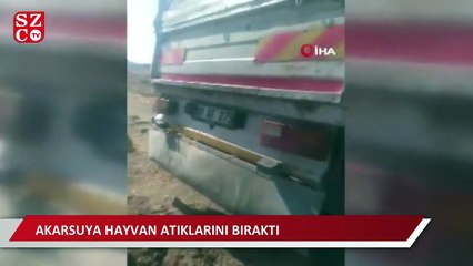 Kurbanlık hayvanların atıklarını akarsuya attılar