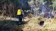 Bombeiros combatem incêndio ambiental às margens da BR-369