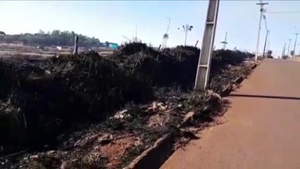 Incêndio em vegetação é registrado na Rua Pedro Baú, no Turisparque