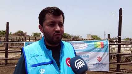 DAKAR - Türkiye Diyanet Vakfı, Senegal'de kurban kesimine başladı