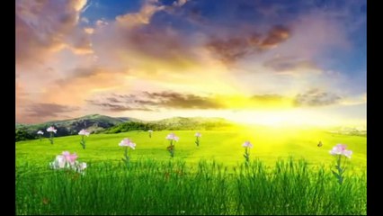 Meditation Music Relax Mind and Body Positive Energy Music Relaxing Music Nature Music Study