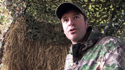 The Airgun Show – hide building, jackdaws and pigeons PLUS the Webley VMX D Ram