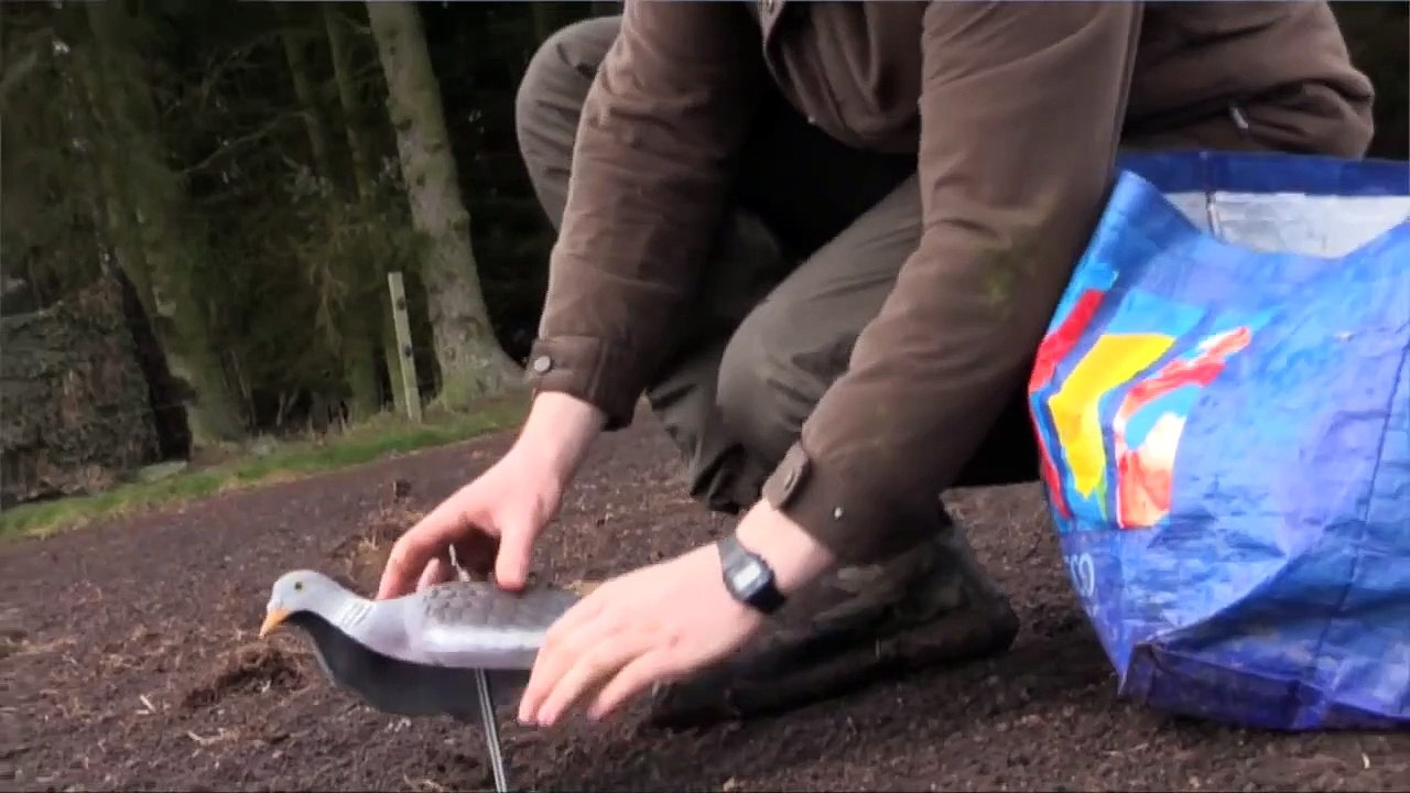 The Shooting Show – crow and pigeon control and Beretta A300 Xtrema