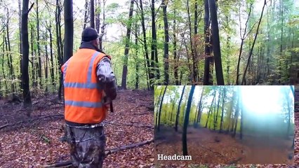The Shooting Show Christmas special driven wild boar in Bavaria