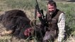 The Shooting Show musk ox in Greenland and CLA Game Fair highlights