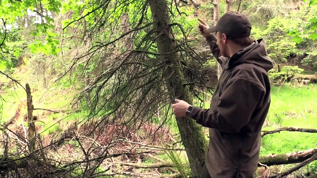 The Shooting Show rabbit shooting special with RWS, Anschütz and Pulsar