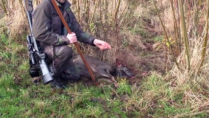 The Shooting Show roe doe culling and the Heym SR30