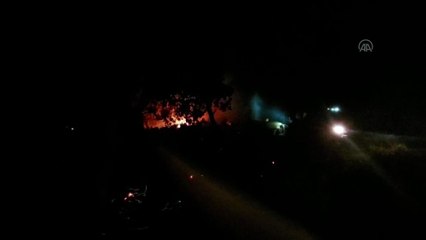 Çanakkale'de çıkan yangında 15 dönüm ağaçlık alan zarar gördü