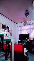Dancing Bartender