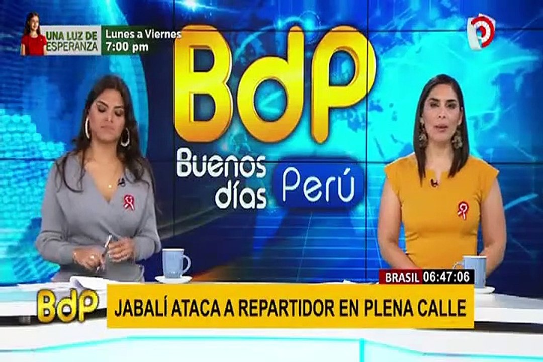 Brasil: jabalí ataca a repartidor de delivery