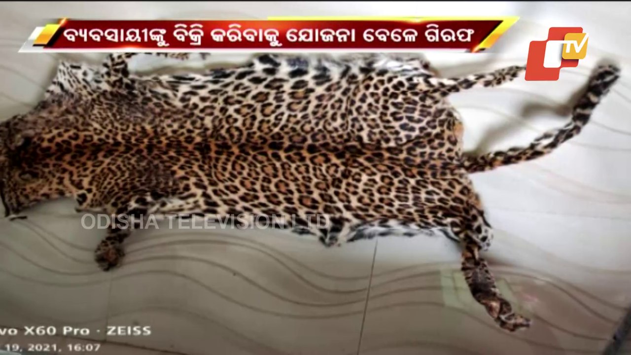 Leopard Skin Seized In Deogarh, 4 Arrested
